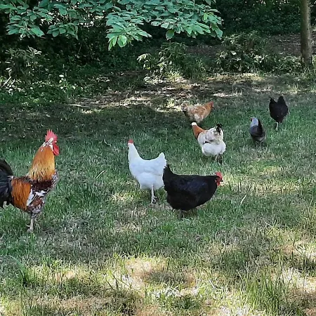 펜션 Urlaub In Der Bauwagenidylle