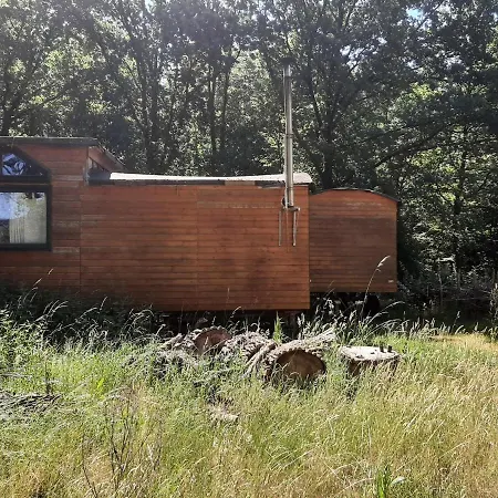 Holiday home Urlaub In Der Bauwagenidylle Ladbergen