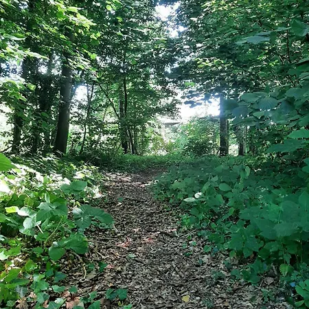 Urlaub In Der Bauwagenidylle 펜션