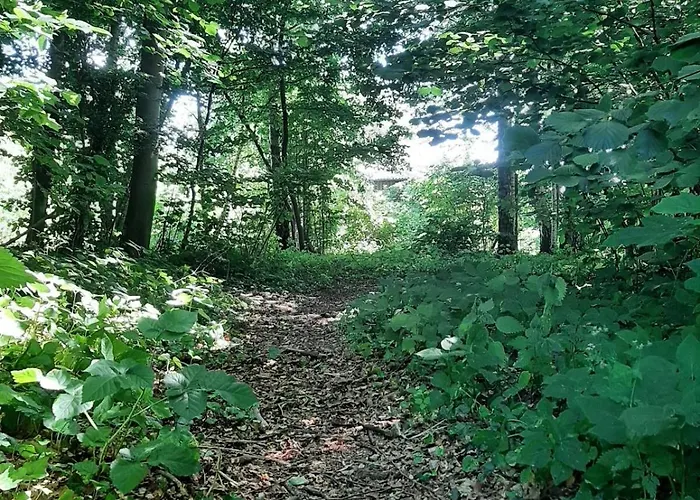 Urlaub In Der Bauwagenidylle Vakantiehuis